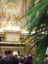 Alle sollen verstehen, da die Kirche Ja zum Leben sagt