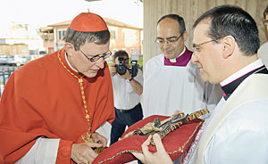 Papstaudienz fr die neuen Metropolitan-Erzbischfe